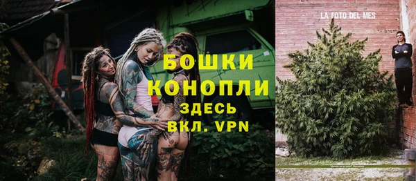 ешки Протвино